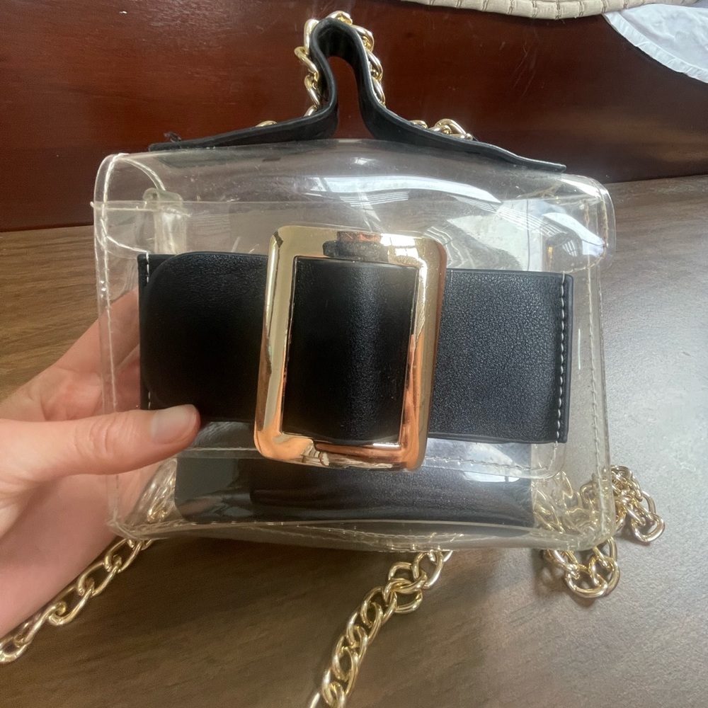 Transparent Black and Gold Chain Women Bag